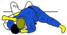 Kata Gatame