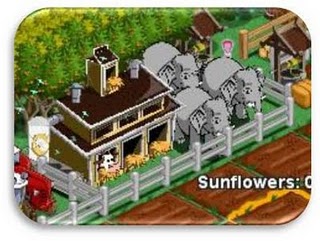 dairy farm