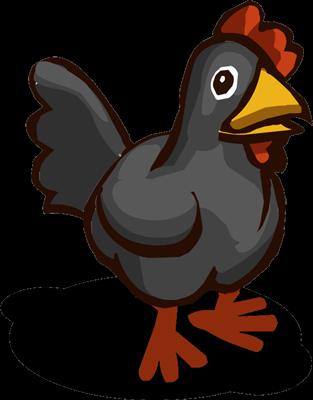 Black Chicken