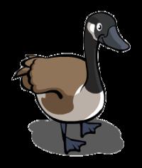 Brown Goose