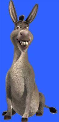 Donkey
