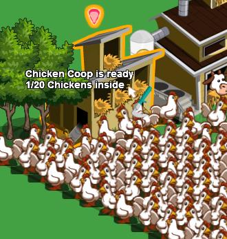 chicken