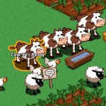 cow