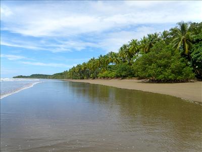 Endless Beach