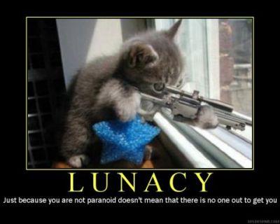 crayze cat