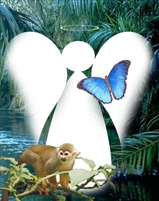 Jungle Angel