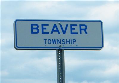 beaver