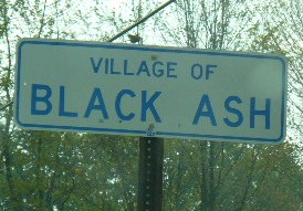black ash