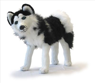 Stuffed Dog