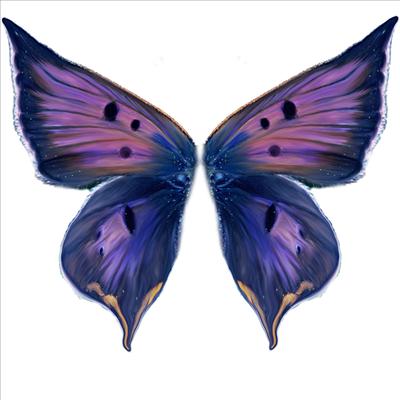 purplewings09
