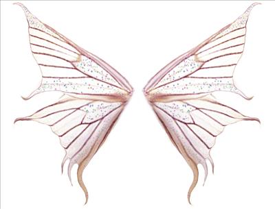 whitewings10
