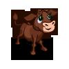 Brown Calf