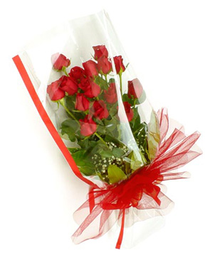 12 Rose Rosse