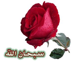 سبحان ربي العلي العظيم