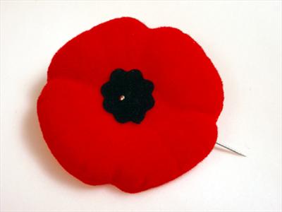 Poppy
