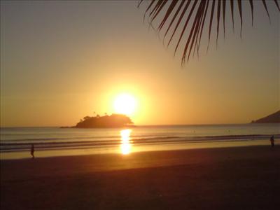brazilian sunshine