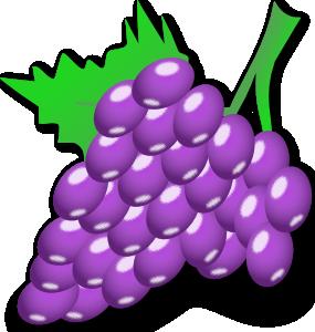 e.g grape treats