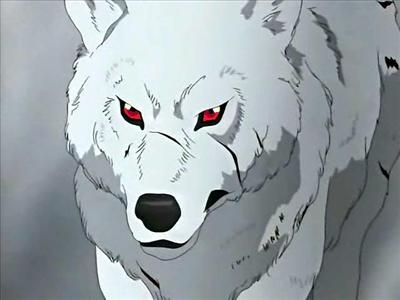 White WOlf