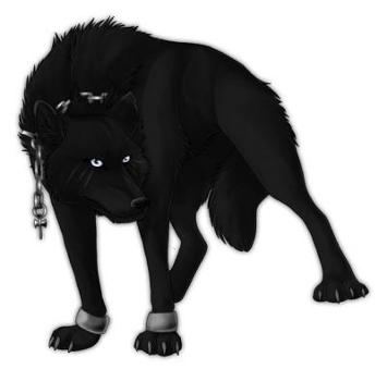 Black Wolf