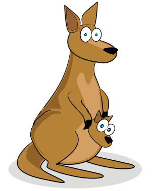 Kangaroo