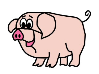 Pig