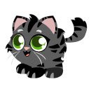 cute