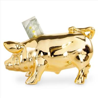 Een gouden spaarvarken!