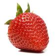 fraise