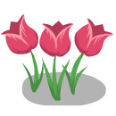 tulpen 