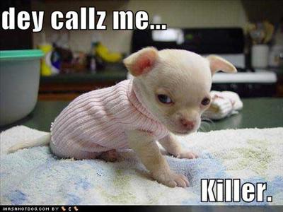 Killer