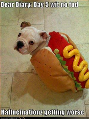 Hot Dog!!!!