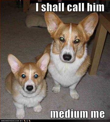 Medium Me