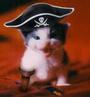 Kitty Cat