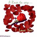 resim
