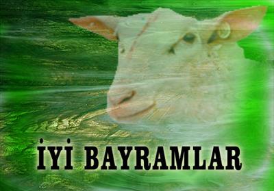 Kurban bayramı tebrigi