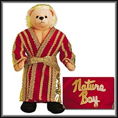 ric flair teddy