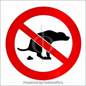Dog poop
