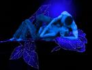 Buonanotte al più dolce degli amori...buonanotte alla stella che brilla di più..buananotte a te amore mio che ogni giorno mi fai innamorare sempre di più...ti amo