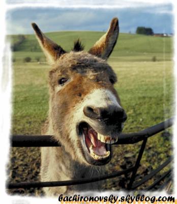 tu me fais rire