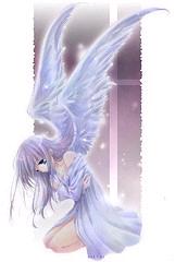 Animae Angel