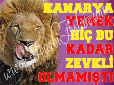 kanarya Yiyen ASLANSIN!