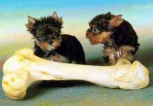 Best Friends