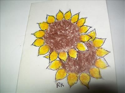 sunflowers