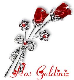 ikiligül