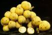 Lanzones