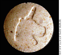 white horse(extacy)