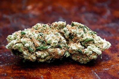 gram of choof(bud)