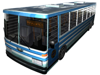 Normal Otobüs