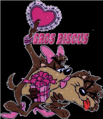 bibisous13