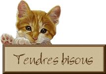 tendrebisou20